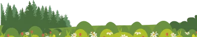 Mobile card background