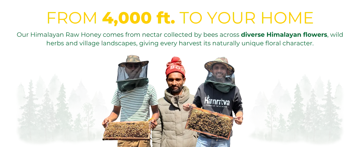 Himritva Pahadi beekeepers caring for honeybee colonies in the Himalayan landscape